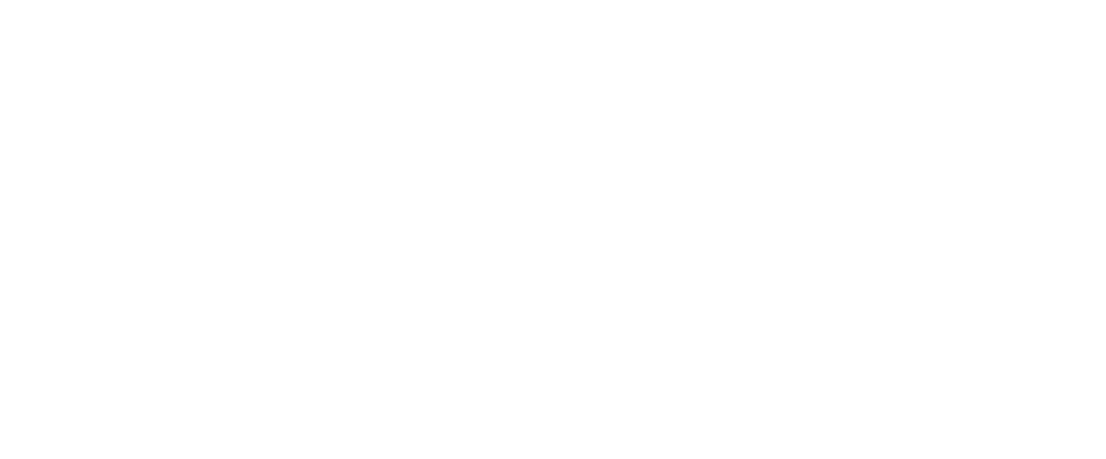Rabindra Dhant signature logo